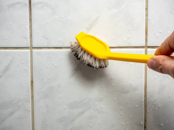 Best Residential Mold Removal  in Sardis, MS