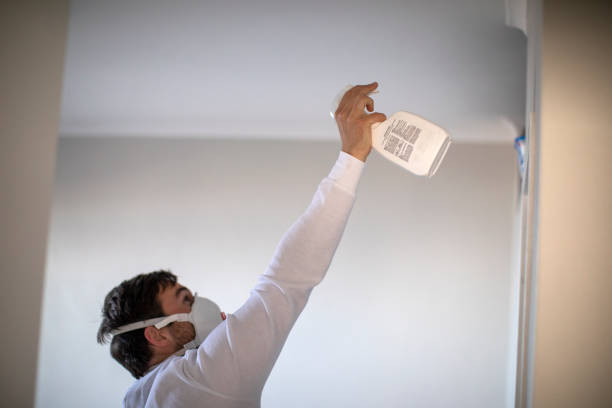Best Certified Mold Removal  in Sardis, MS