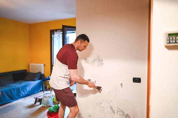 Best Home Mold Removal  in Sardis, MS